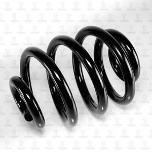 TORR DF0373 Пружина задняя