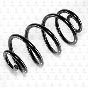 TORR DF0377 Пружина задняя