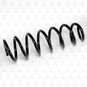 TORR DF0378 Пружина передняя