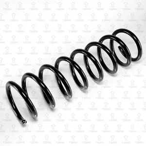 TORR DF0381 Пружина задняя