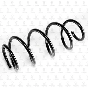 TORR DF0383 Пружина передняя