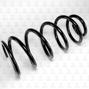 TORR DF0384 Пружина задняя