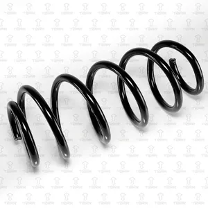 TORR DF0385 Пружина передняя