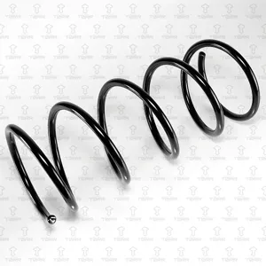 TORR DF0389 Пружина передняя