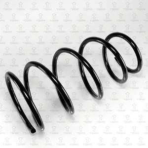 TORR DF0390 Пружина передняя