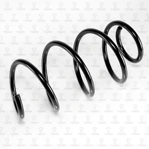 TORR DF0392 Пружина передняя