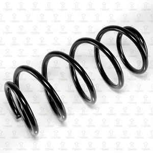 TORR DF0393 Пружина передняя