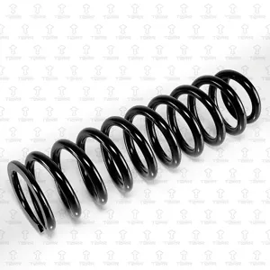 TORR DF0395 Пружина передняя