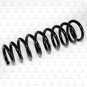 TORR DF0396 Пружина передняя