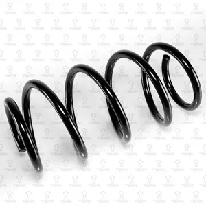 TORR DF0406 Пружина передняя