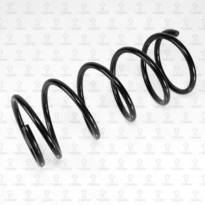 TORR DF0413 Пружина передняя