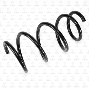 TORR DF0418 Пружина передняя