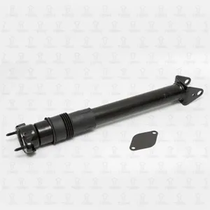 TORR DH1342 Амортизатор Mercedes W164 -05 задн.лев.прав.газ