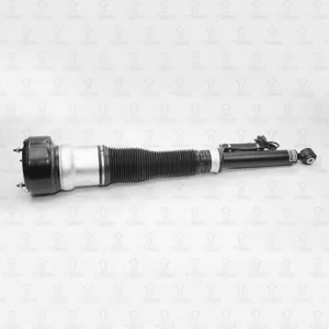 TORR DH3101L Амортизатор Mercedes W221 05- пнево задн.лев.