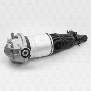 TORR DH3102L Амортизатор задний Пневмо