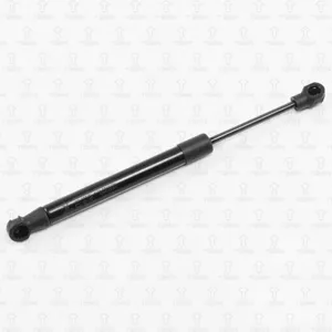 TORR DK0254 Амортизатор капота (L=245mm, F=400N)