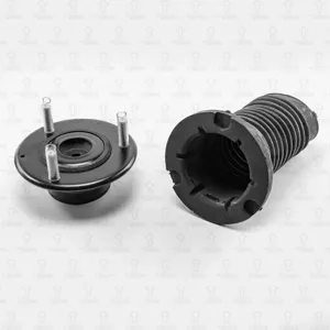 TORR DR0216 Пыльник амортизатора переднего