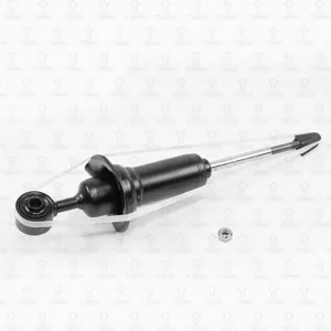 TORR DV1309 Амортизатор передний Nissan Pathfind
