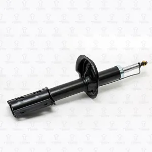 TORR DV1363 Амортизатор передний Peugeot Boxer , Fiat