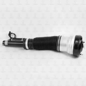 TORR DV3102 Пневмоамортизатор передний