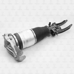 TORR DV3106L Пневмоамортизатор передний