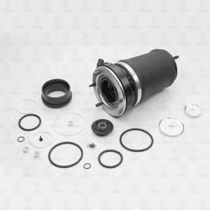 TORR LZ0100R Пневмоподушка BMW X5 (E53) 99- передн.прав.