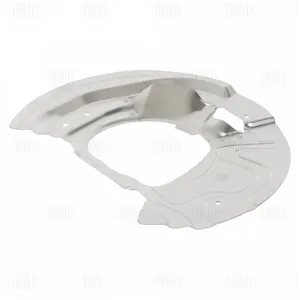 TRIALLI BDSP2522 Кожух торм. диска BMW X5 (E70) (07-)X5 (F15) (13-) перед. лев. (BDSP 2522)