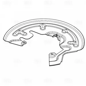 TRIALLI BDSP2846 Кожух диска тормозного Renault Megane Scenic 02- перед.прав.