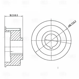 TRIALLI CG109 Шкив ГРМ Лада 2170 (дв. 21126) коленвала (CG 109)