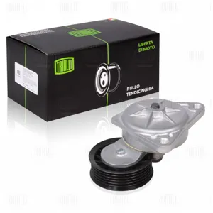 TRIALLI CM1007 Ролик привод. ремня Ford Focus I (98-) 1.6i1.8i2.0i Zetec-E (с натяж. мех.) (CM 1007)