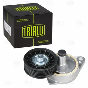 TRIALLI CM1007N Ролик привод. ремня Ford Focus I (98-) 1.6i1.8i2.0i Zetec-E (с натяж. мех.) (подшип. NSKN