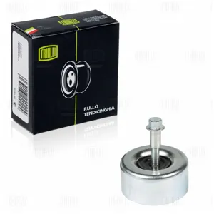 TRIALLI CM1421 Ролик привод. ремня Nissan Teana (08-) 2.5i3.5i (опорный нижний) (CM 1421)