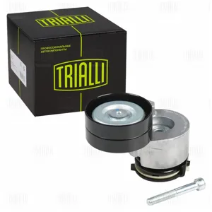 TRIALLI CM5113 Ролик привод. ремня Renault Duster (10-) 2.0i (с натяж. мех.) 65x30 (CM 5113)