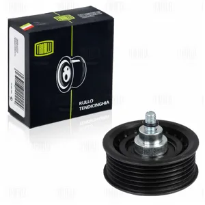TRIALLI CM5172 Ролик привод. ремня Ford Transit (06-) Peugeot Boxer (06-) Citroen Jumper (06-) 2.2TDCi (опорный) ребристый (CM 5172)