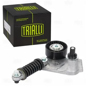 TRIALLI CM5174 Ролик привод. ремня Ford Transit (00-) 2.0d AC+ (с натяж. мех.) (CM 5174)