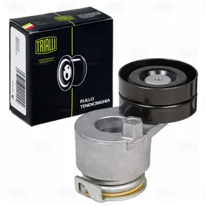 TRIALLI CM5321 Ролик привод. ремня Renault Megane II (02-) 1.9dCi2.0i (с натяж. мех.) (CM 5321)
