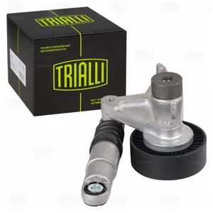 TRIALLI CM5382 Ролик приводного ремня VW Touareg (04-) 2.7d3.0d [EA896] с натяжным механизмом