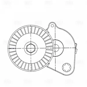 TRIALLI CM5387 Ролик ремня приводного Mercedes C(W204) с натяж. мех.