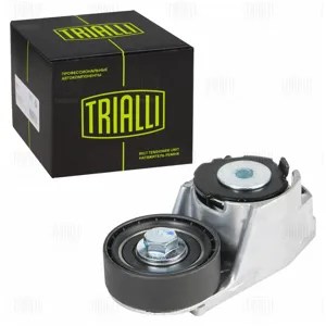 TRIALLI CM5401 Ролик приводного ремня Ford Transit (00-) 2.0d (с натяжным механизмом) ГУР