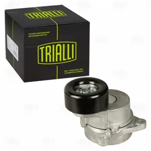 TRIALLI CM5481 Ролик приводного ремня Infiniti QX80 (10-) Nissan Patrol (10-) 5.6i [VK56VD] (с натяжным механизмом)