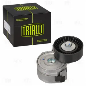 TRIALLI CM5728 Ролик приводного ремня Ford Kuga (08-) 2.0d (до 11.2012) с натяжным механизмом