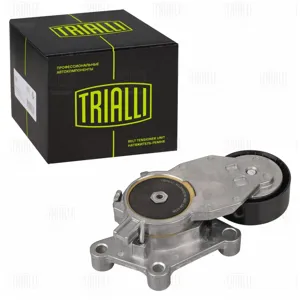 TRIALLI CM5729 Ролик приводного ремня Ford Focus II (05-) 1.5d1.6d (c 2008) с натяжным механизмом