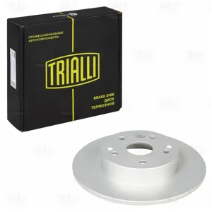 TRIALLI DF165111 Диск торм.задний Geely Coolray SX11 19>