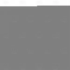 TRIALLI EAM4013 Глушитель