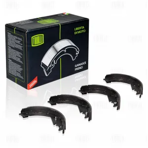 TRIALLI GF1910 Колодки торм.барабанные Toyota RAV 4 (00-) 229x40