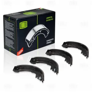 TRIALLI GF2501 Колодки торм.барабанные Mazda 626 (97-) 228x43 для Akebono