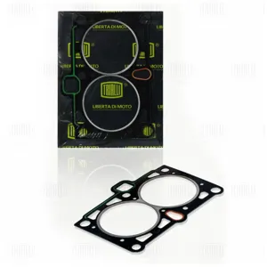 TRIALLI GZ1012024 Прокладка ГБЦ