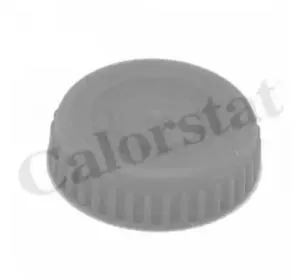 VERNET RC0188 крышка расширительного бачкаNissan Almera/Primera 00>