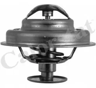 VERNET TH494781J Термостат Ford Transit 309405 85- с прокладкой