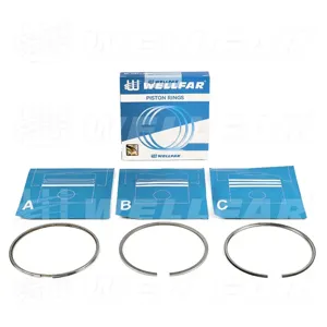 WELLFAR 005502132000 Кольца поршневые d120 3.5x3x4,1 MAN TGA,TGS,TGX D2066 LF25-28,40-43